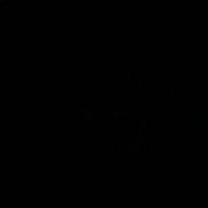 Meet your Posher, Daniella